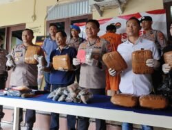 9 Kilogram Ganja dan 241 Gram Sabu Jaringan Palembang,Berhasil di Amankan Polisi