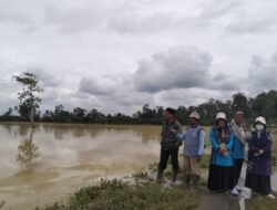 Dinas TPH Pesawaran,Salurkan Bantuan Benih Padi Untuk Petani Korban Puso Akibat Banjir