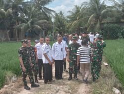 Dinas PMD Bersama Kodim 0421 Lamsel,Survey Sasaran TMMD di Desa Tanjung Rejo