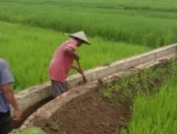 Caplok Dana Bantuan Perbaikan Irigasi Poktan,Kabid PSP Dinas TPH di Laporkan ke Kejari