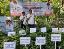 Sambut Kepemimpinan Baru,Pemkab Pesawaran Bagikan 700 Bibit Alpukat Aligator Gratis untuk Masyarakat
