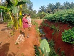 Warga Keluhkan Galian Tanah Dekat Permukiman di Negeri Katon Pesawaran