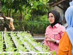 Bupati Pesawaran Dukung Penuh Program Pekarangan Pangan Bergizi oleh KWT