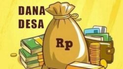 Pengajuan dan Pencairan Dana Desa 2026 di Pesawaran,Terkendala Perubahan Regulasi