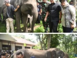 Ketua DPRD Lampung: Atensi Presiden Jadikan Way Kambas Percontohan Nasional Harus Dikawal Bersama