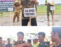 Ketua DPRD Provinsi Lampung,Tanam Padi di Way Jepara