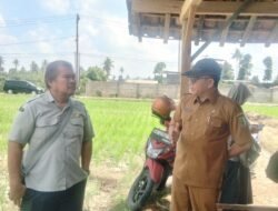 Direktorat Konservasi Kementerian Pertanian Tinjau Sawah Terdampak Kekeringan di Pesawaran
