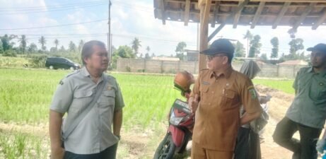 Direktorat Konservasi Kementerian Pertanian Tinjau Sawah Terdampak Kekeringan di Pesawaran