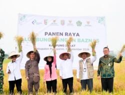 Panen Raya Lumbung Pangan BAZNAS Pesawaran,60 Petani Mustahik Dibina