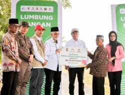 Ironi Panen Raya di Pesawaran,Sawah 15 Hektare Justru Gagal Panen Diterjang Tikus dan Kekeringan